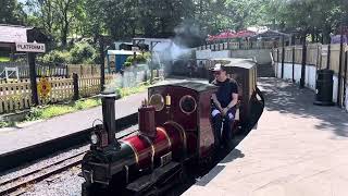 Bickington Steam Railway at Trago Mills 1952024 [upl. by Gweneth]