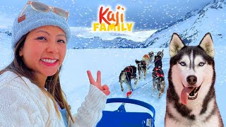 Lets Go Dog Sledding in Alaska [upl. by Tate]