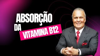 Absorção da vitamina B12 [upl. by Bernadine]