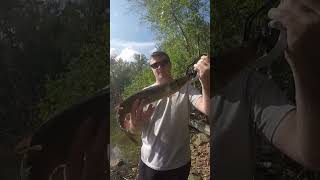 Potential PB pickerel [upl. by Norrat305]