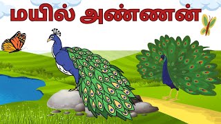 மயில் அண்ணன் வந்தாராம் பாடல்மயில் குழந்தை பாடல்mayil annan vantharam song for kids [upl. by Arihaz197]