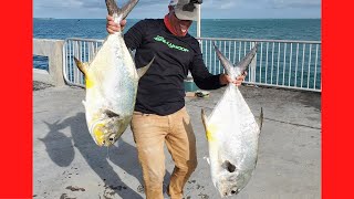 Pescando peces GIGANTES con CANGREJOS en puentes pesca de palometa en los cayos islamorada [upl. by Dobrinsky]