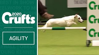 Agility  Championship Round 2  Small Agility  Crufts 2020 [upl. by Anwahsed]