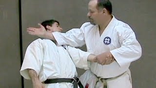 One Minute Bunkai Seisan Bunkai Series Part 4 [upl. by Aihselat]