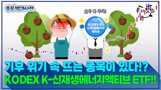 기후 위기 속 뜨는 종목이 있다 KODEX K신재생에너지액티브 ETF [upl. by Helaina672]