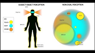 Dualism vs NonDualism Explained  with visuals [upl. by Euphemie759]