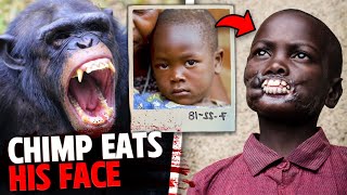 After Killing His 2 Friends This Chimp EATS His Face [upl. by Niletac]