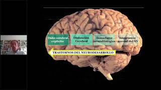 Evaluación neuropsicológica infantil CUMANIN2 [upl. by Leanna258]