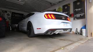 2015 Mustang GT Coyote  Comp Cams Stage 3 Cold Start [upl. by Deaner961]