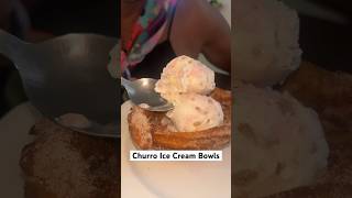 Churro Ice Cream Bowls eating food sweet shorts ytshorts yummy churro fyp hungry viral [upl. by Ayerhs]