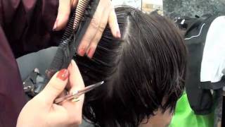 HAIRCUTTING Layer haircut with scissors [upl. by Aerdno777]