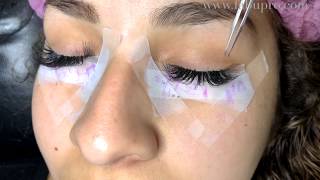 How to do Russian Volume 3D Eyelash Extensions Using Pre made Volume Fans [upl. by Bergquist327]