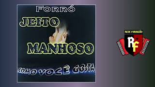 FORRÓ JEITO MANHOSO  COMO VOCÊ GOSTA VOL 1 [upl. by Sera]