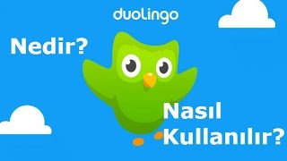 Duolingo Nedir Nasıl Kullanılır [upl. by Camala562]