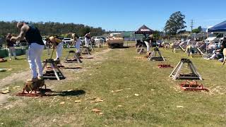 Woodchopping Heat Underhand Handicap NTAA Carnival Exeter 121024 [upl. by Moffit]