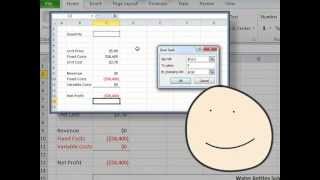 Data Table in Excel [upl. by Nosydam]