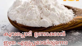 കൂവപ്പൊടി ഉണ്ടാക്കാൻ ഇത്ര എളുപ്പമായിരുന്നോ 😳😱😋 arrowroot powder making [upl. by Yssirhc]