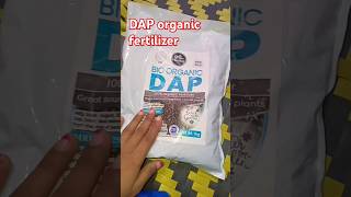 DAP fertilizer for growing plants 🪴⚘️plants furtilizergardeningideas trainding fertilizer [upl. by Scandura381]