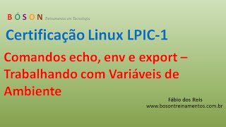 Variáveis de Ambiente no Linux e comandos echo env e export [upl. by Jarib]