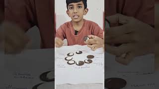 Phases of moon activity  SCIENCE  creative spot [upl. by Gardell]