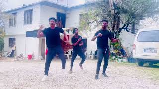 Goya Menor amp Nektunez  Ameno Amapiano Remix Dance VideoDynamic African Acrobatics Ghana [upl. by Aleak313]