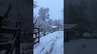 Inverno em Nevados de Chillán Chile 🇨🇱2024  winter invierno chile snow nieve [upl. by Yenhpad]