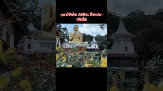 උයන්වත්ත රජමහා විහාරය දඹුල්ල 😍🙏 Dambulla cave Temple viral srilanka travel trendingMrRoo [upl. by Goebel802]