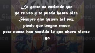 PANDA quotSi Esto Fuese Realidadquot Letra [upl. by Alaet]