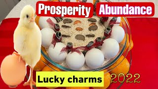 HOW TO MAKE A PROSPERITY BOWL FOR ABUNDANCE THIS NEW YEAR 2023I Marcy Green Vlog [upl. by Meredi]