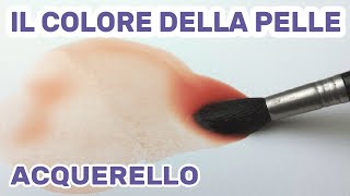 Lincarnato ad acquerello La ricerca del colore [upl. by Ellehcir]