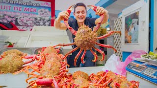 Morocco Street Food 🇲🇦 SPIDER CRAB  Best Moroccan Food in Casablanca [upl. by Landan43]