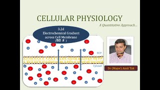 32d Electrochemical Gradient across Cell Membrane हिंदी में   Cellular Transport [upl. by Marje756]