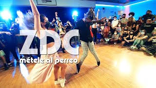 Daddy Yankee DANCE VERSION  MÃ‰TELE AL PERREO  BACK TO THE ZOUK DAY ZDC 2021 [upl. by Cirdla]