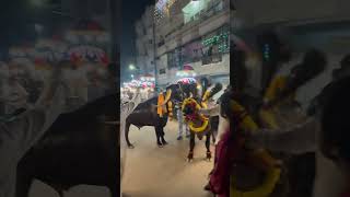 Balamrai sadar  do subscribe for more videos  support festival viralvideo diwali songs [upl. by Gunther368]