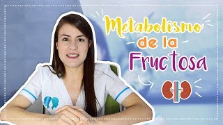 Metabolismo de la fructosa  Nutrigami [upl. by Helmut]