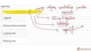 A non proteinaceous enzyme is [upl. by Cristiona182]