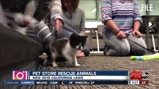 New laws in California about pets [upl. by Britton38]