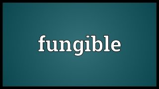 Fungible Meaning [upl. by Einnek]