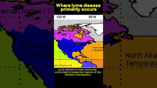 Where lyme disease most primarily occurs [upl. by Lotsirk]