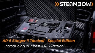 Discover what makes the AR6 Stinger II Special Edition so exclusive [upl. by Elahcar309]