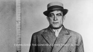 Genovese Crime Family [upl. by Lidda16]