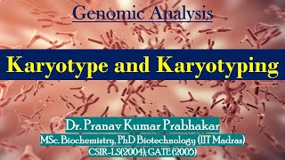 Karyotype and Karyotyping [upl. by Kirwin]