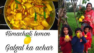 Instant Galgal🍋🍋 ka khata meetha achar Indian Traditional hill Lemon Picklevery yummy easy recipe [upl. by Ennairrac]