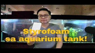 Styrofoam kailangan ba sa aquarium glass tank [upl. by Novelia641]