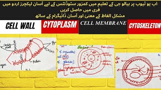 Cell wall Cell membrane cytoplasm amp cytoskeleton structure amp functions with easy diagrams [upl. by Euginom]