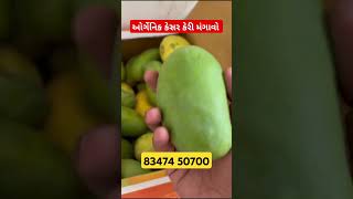 ઘરે કેસર કેરી મંગાવો Kesar Mango kesarmango kesarkeri gujarat [upl. by Kacey]