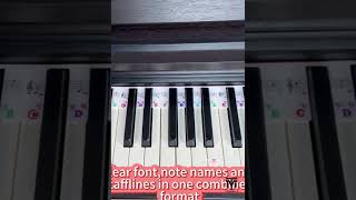 BeginnerFriendly Silicone Piano Keyboard Note Guide [upl. by Peri]