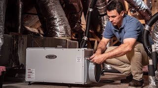 Whole House Dehumidifiers Pros amp Cons  Sylvane [upl. by Airdnat]