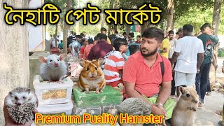 Hamster Price In Kolkata  HamsterMiceMongolian gerbil Very Low price  Naihati pet market [upl. by Imena]