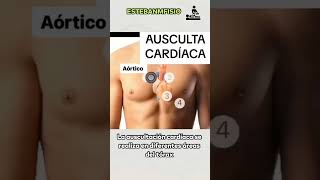 Auscultación cardíaca anatomia anatomiafacil cardio curiosidades medicina ciencia [upl. by Anelrats]